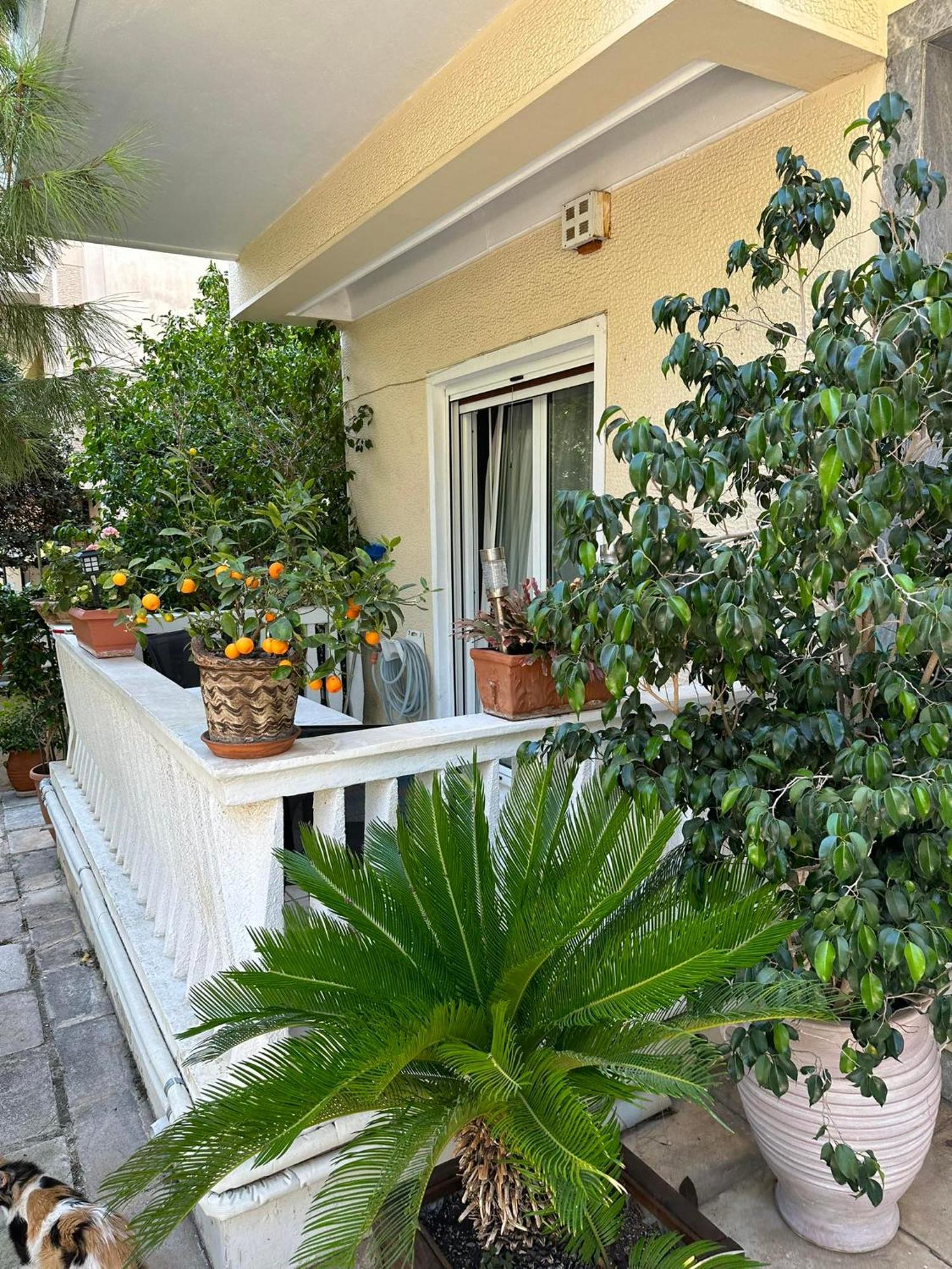 Angel , Luxury 2Bd Apartment Next To The Beach Atenas Exterior foto